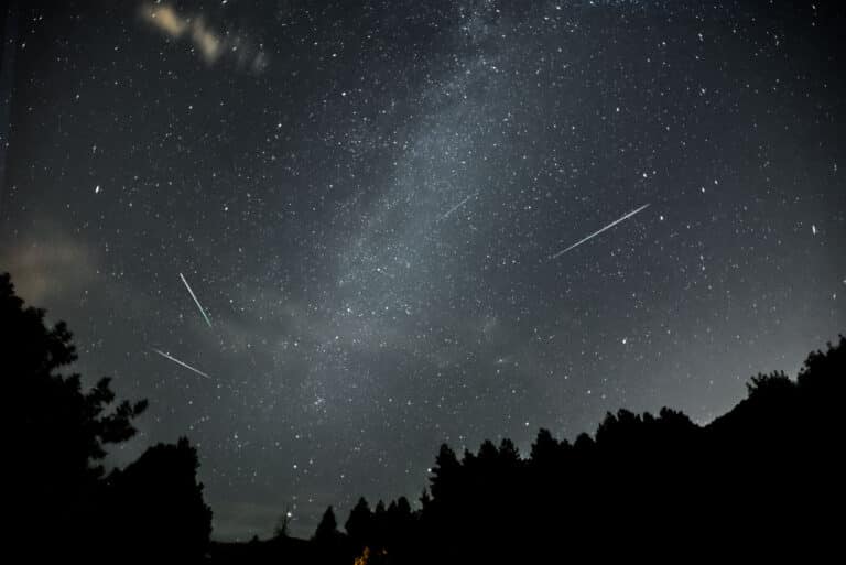 Lee más sobre el artículo FESTIVAL DE PERSEIDAS PLANETARIO DE ARAGÓN